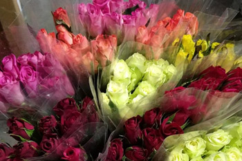 ramos-de-colores Rosas de colores Sevilla