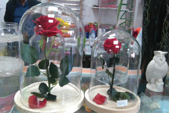 rosa-de-la-bella-y-la-bestia Rosa la bella y la bestia dos hermanas