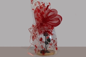 rosa-eterna Rosa eterna