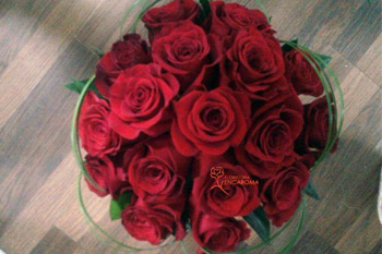 rosas-5 ramos de rosas rojas