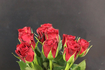 rosas-rojas2 Ramo rosas rojas sevilla