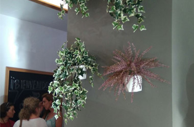 plantas-de-interior decoracion negocio sevilla